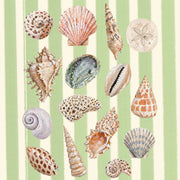 Coastal Seashell – Coastal Wall Art