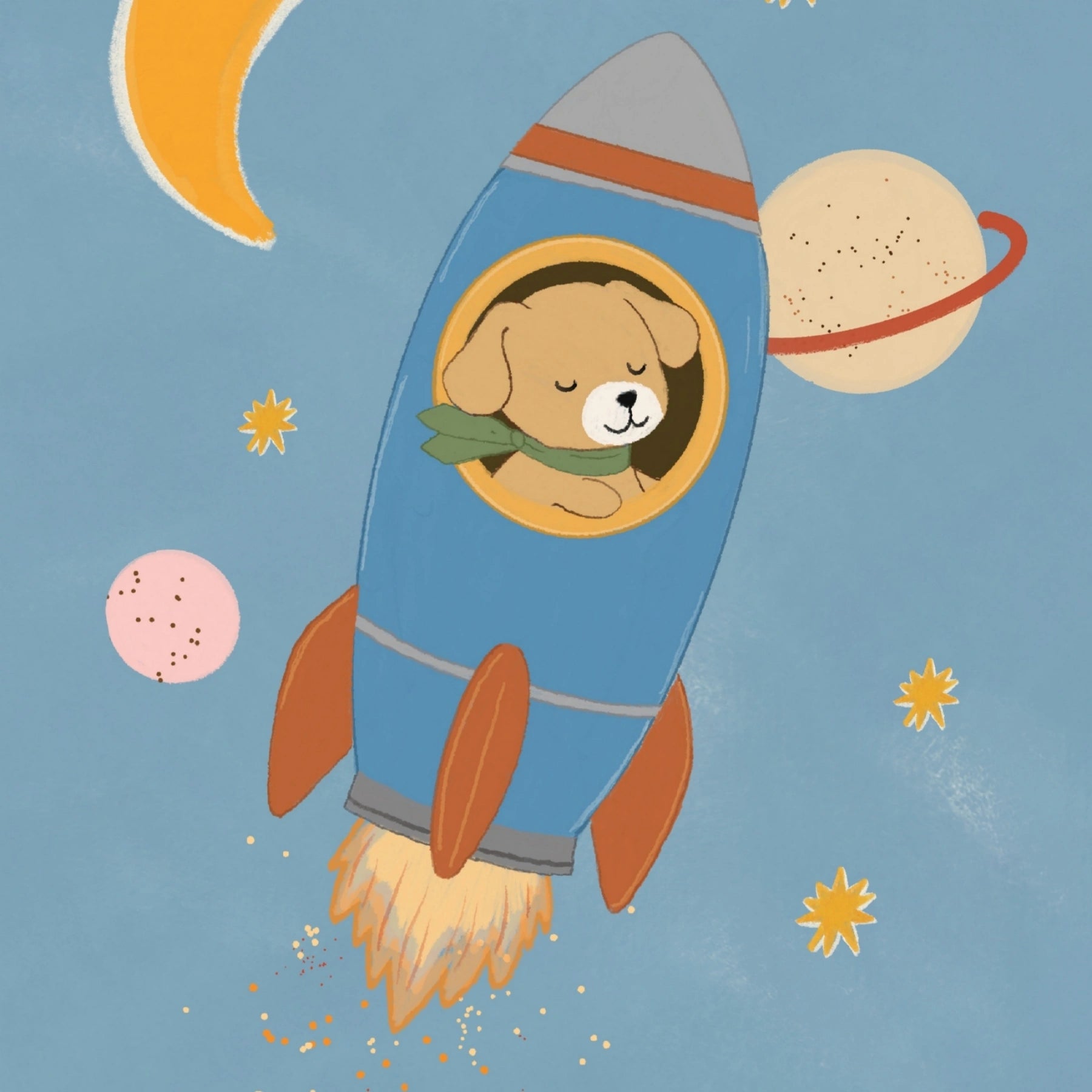 Arte murale con cane nello spazio su razzo