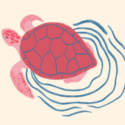 Sea Turtle – Coastal Wall Art