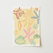 Colorful Sea Shell – Coastal Wall Art