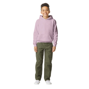 2d66dd60-694f-4d99-95c2-5cbfafcdb592