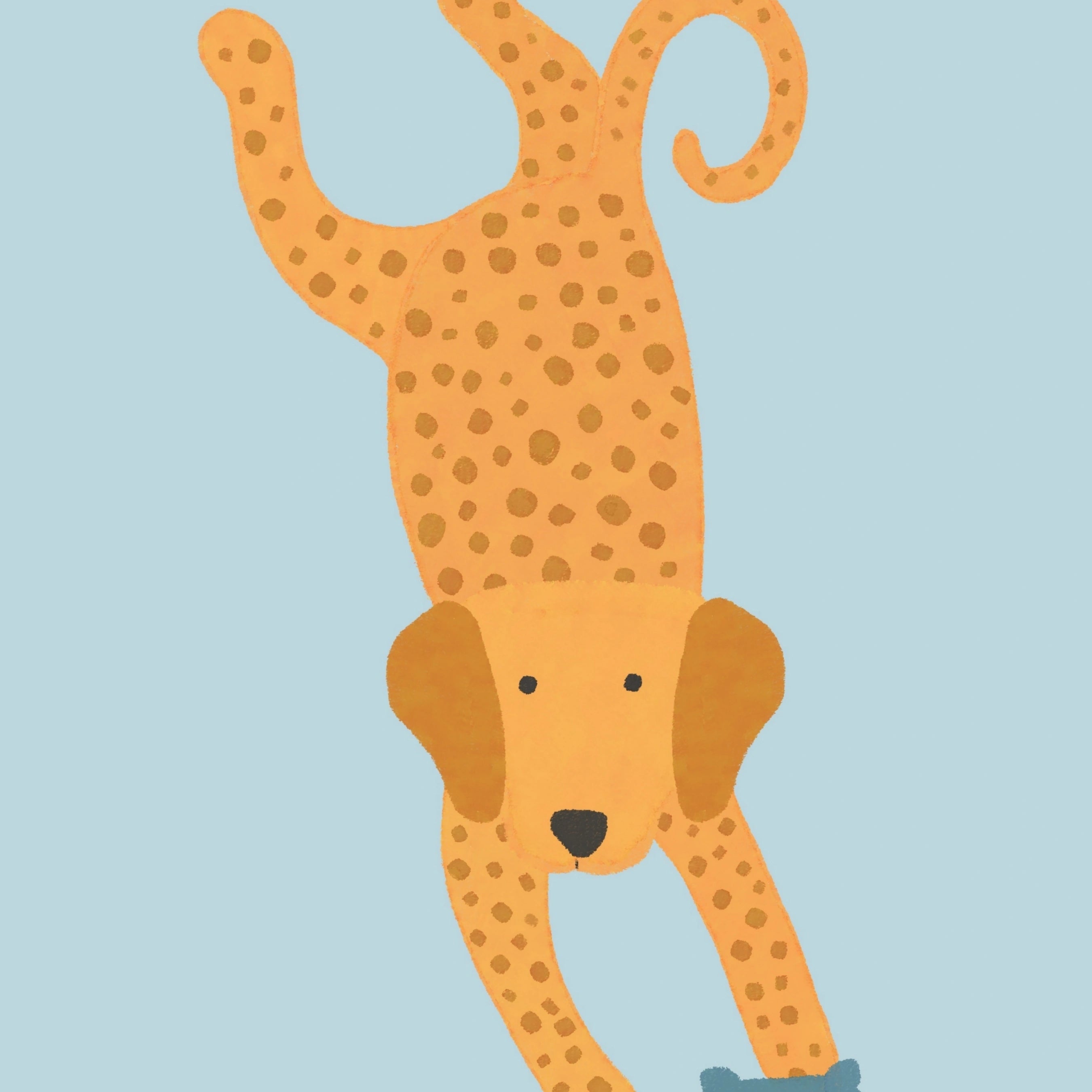 Playful Animal Poster