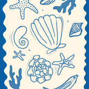 Ocean Shells and Sea Life – Coastal Wall Art