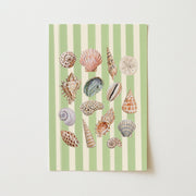 Coastal Seashell – Coastal Wall Art