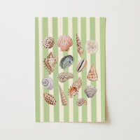 Coastal Seashell Wall Art