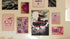 Pink Halloween, over 250 prints Il mio negozio