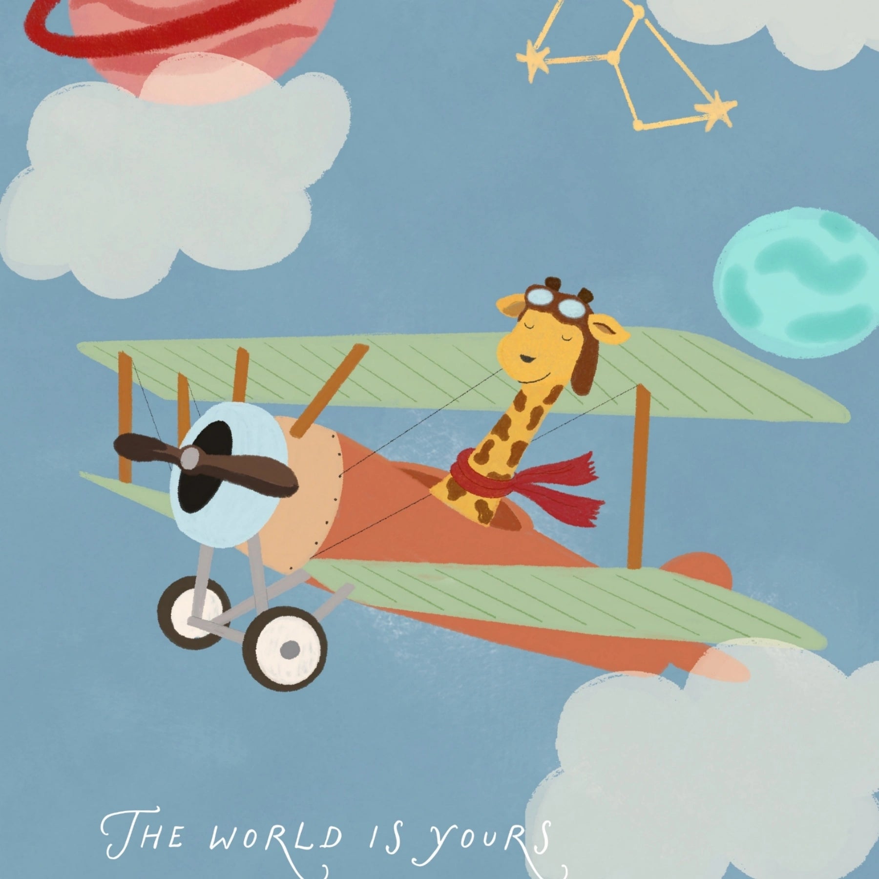 Stampa di giraffa su aeroplano