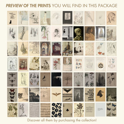Vintage Light Academia, over 130 prints